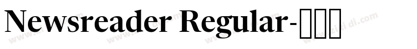 Newsreader Regular字体转换
